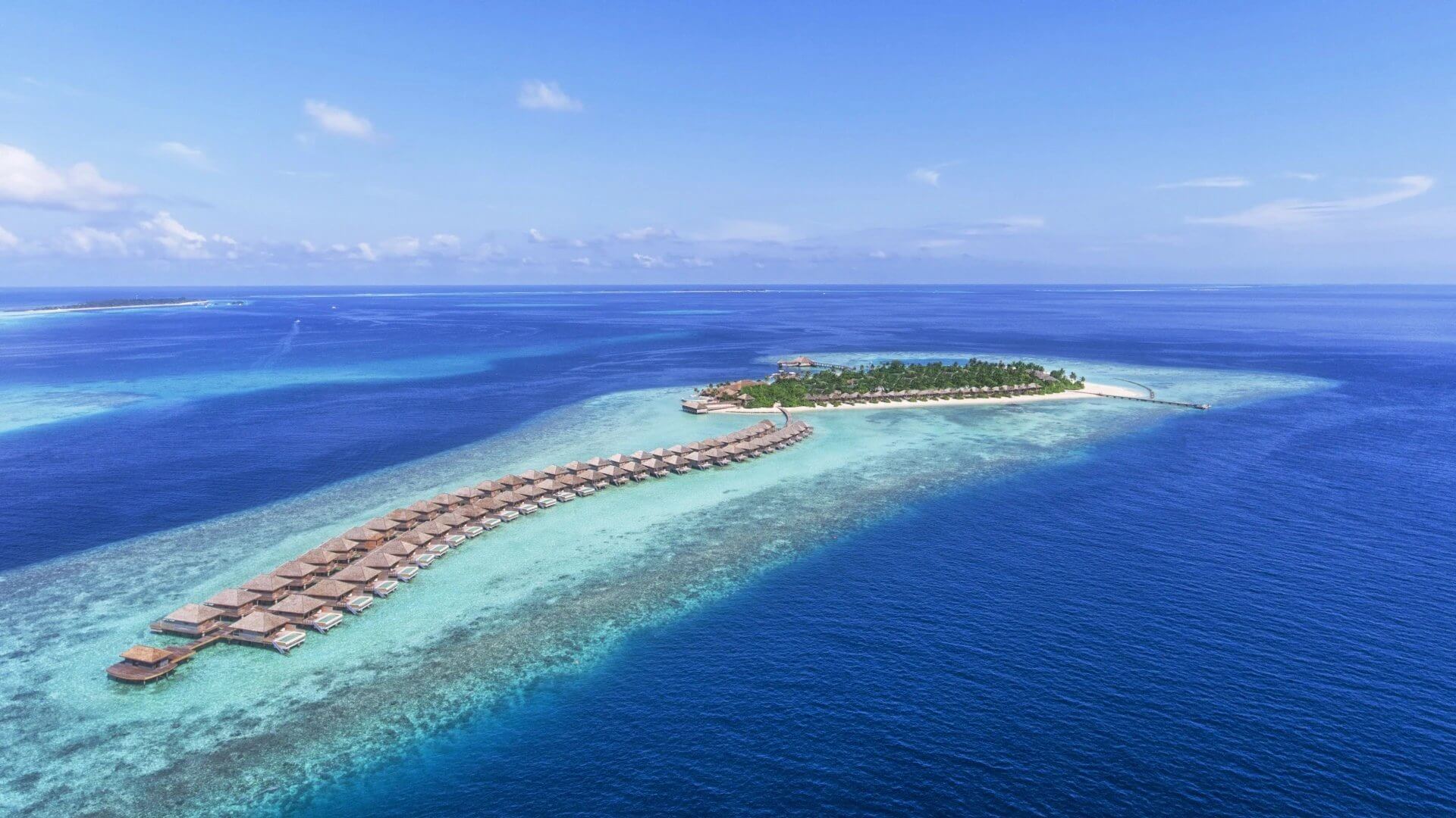 Which Maldives Resorts Have Dolphins Nearby